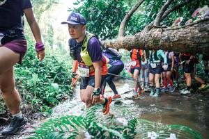 BIB: 
                            <button type="button" onclick="openModal(25466341)" class="btn btn-primary btn-sm float-right btn-popup" data-toggle="modal" data-target=".modal-high-quality">
                        <i class="fas fa-shopping-cart"></i> Add to Cart
                    </button>
                                            <button type="button" onclick="isThisMe(25466341, true)" class="btn btn-success btn-sm float-right btn-popup btn-isme hidden" data-toggle="tooltip" data-placement="bottom" title="นี่คือรูปของคุณใช่ไหม คลิกที่นี่เพื่อเอาเข้าอัลบั้ม">
                        <i class="fas fa-plus"></i> Add to album
                    </button>
                    <button type="button" onclick="isThisMe(25466341, false)" class="btn btn-warning btn-sm float-right btn-popup btn-isnotme hidden">
                        <i class="fas fa-ban"></i> Remove from album
                    </button>